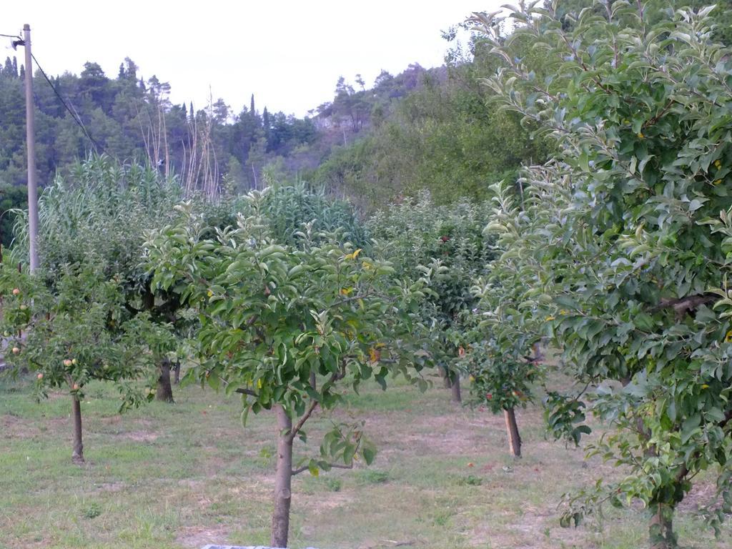 Holiday Home Ivana Virpazar Rom bilde