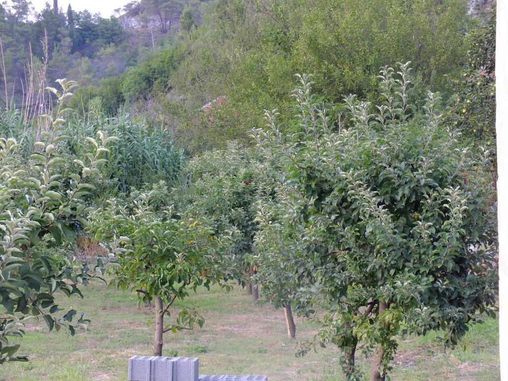 Holiday Home Ivana Virpazar Rom bilde