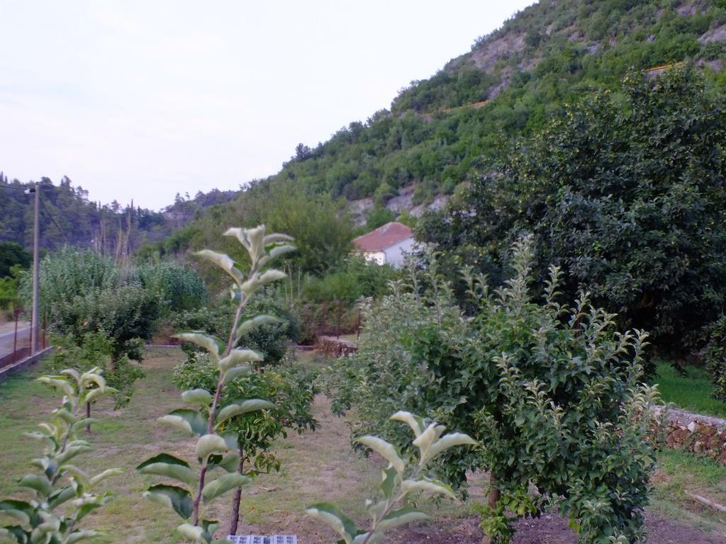 Holiday Home Ivana Virpazar Rom bilde